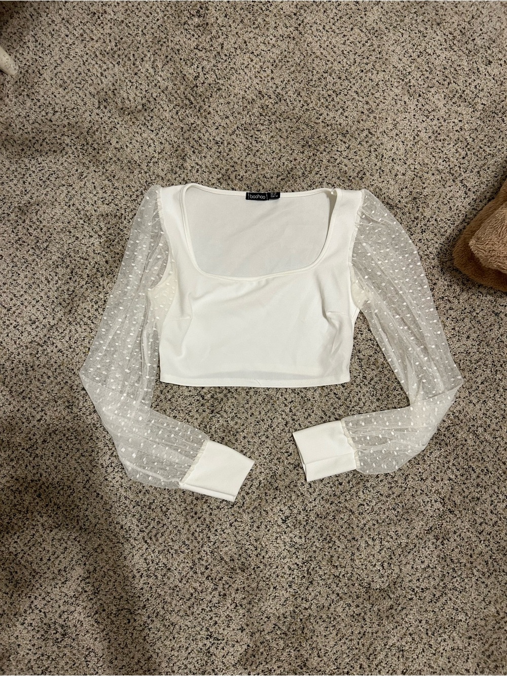 Boohoo White Sheer Swiss Dot Long Sleeve Crop Top